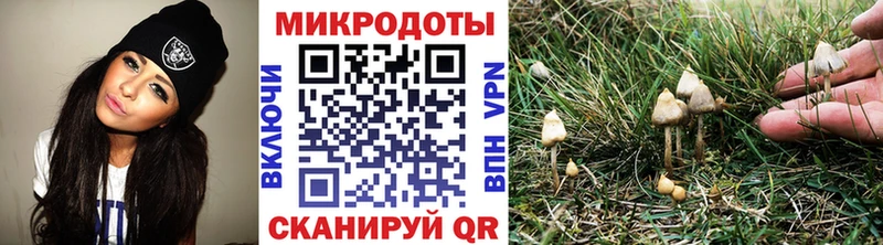 цена   Устюжна  Галлюциногенные грибы Cubensis 
