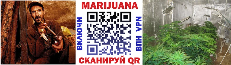 купить наркотики сайты  Устюжна  Бошки марихуана Amnesia 